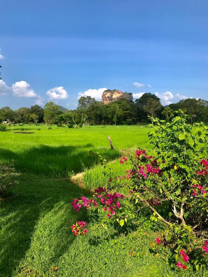 Castle View Sigiriya Hotel Exterior foto